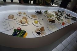 EARTH FOODS 25i