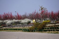 �n�i����1