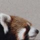 ���b�T�[�p���_380