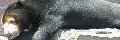 �}���[�O�}120