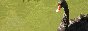�R�N�`���E88