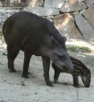 �u���W���o�N�ʐ^6