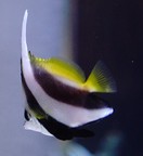 �n�^�^�e�_�C�ʐ^2