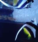 �n�^�^�e�_�C�ʐ^3