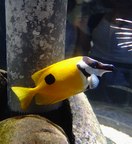 �q�t�L�A�C�S�ʐ^5