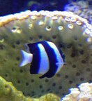 �~�X�W�����E�L���E�X�Y���_�C�_�C�ʐ^3