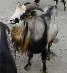 �g�J�����M�ʐ^2