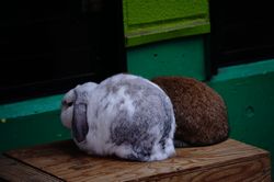 �z�[�����h���b�v�C���[�ʐ^4