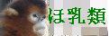 �ٓ��ރo�i�[
