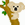 �~�j�l�b�gZOO���ē������ʐ^�E����t���[�f��