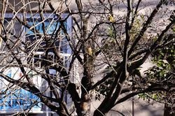 1227�I�I�J�����q��1