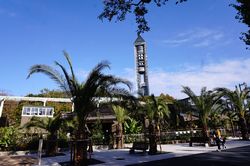 �g����2