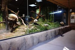 �V���I�V���I�V���V�����C���C