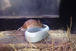 �c�V�}�A�J�l�Y�~