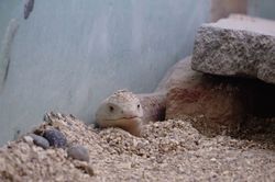 �o���J���w�r�K�^�g�J�Q2