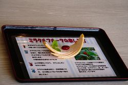 �~���N���t���[�c1