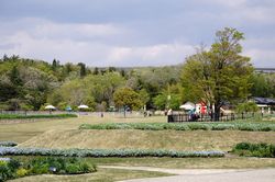 �l���t�B����