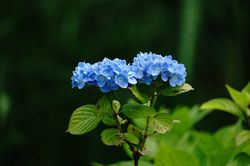 �A�W�T�C4