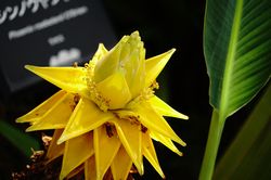 �`���E�L������