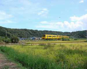 「最終値下げ」Nゲージ 指宿枕崎線 なのはな 日本最南端の快速列車】指宿枕崎線